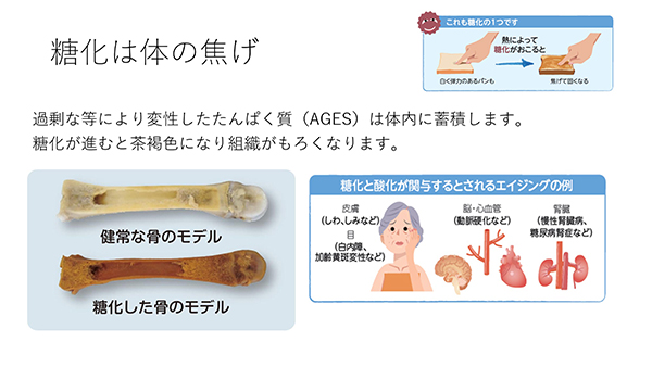 糖化は体の焦げ