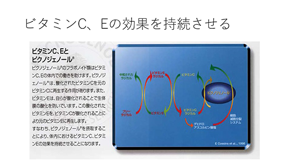 ピクノジェノールの抗酸化力：ビタミンC、Eの効果を持続させる